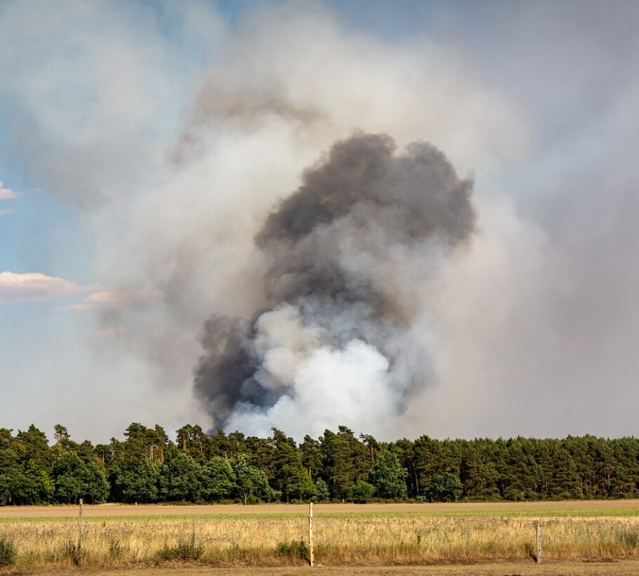 fire-3544205_1280
